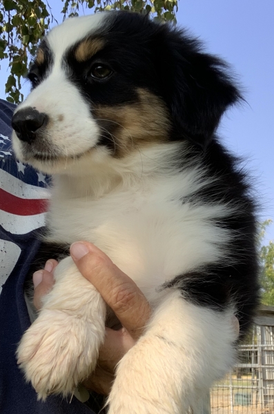 Lucy