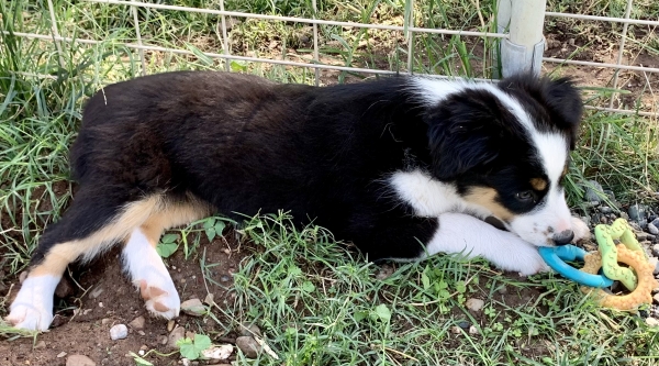 Lucy