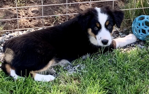 Lucy