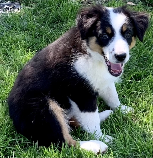 Lucy