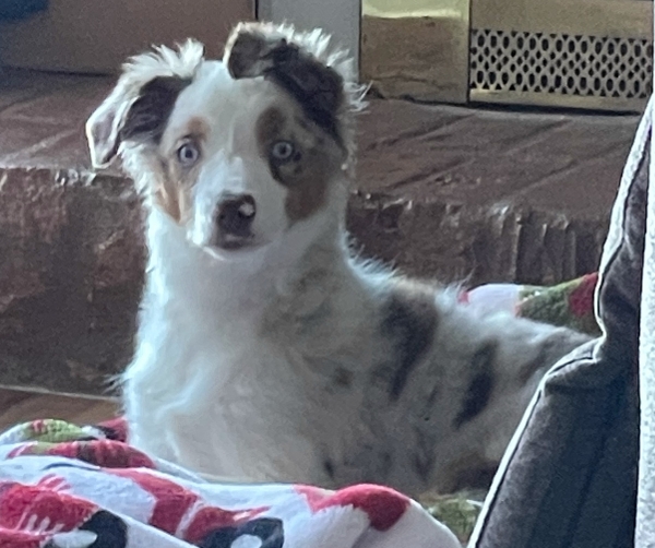Bindi
