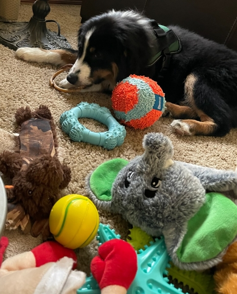 Max