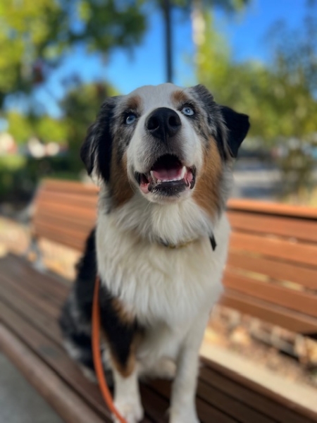 Ezra