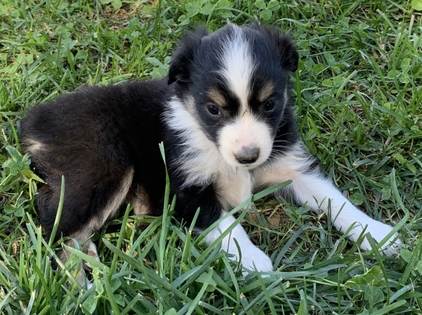 Minnie