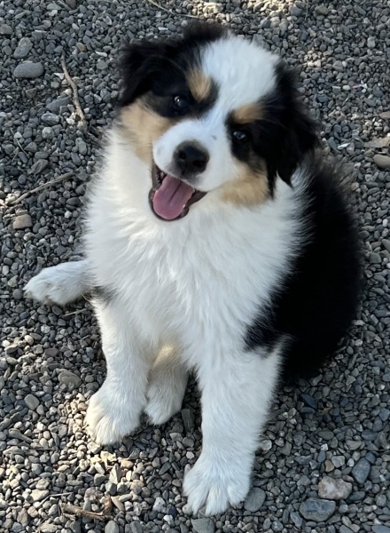 Murphy