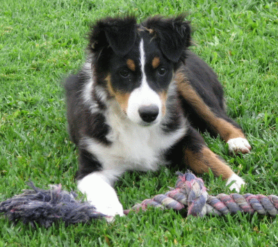 Max