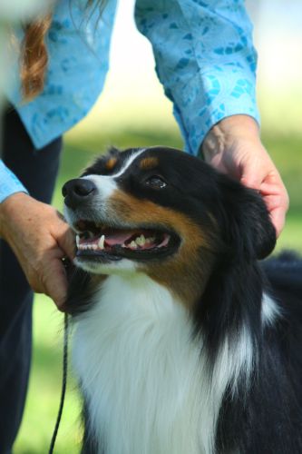 Max