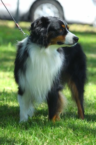 Max