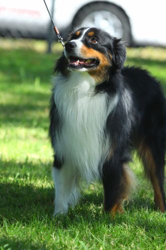 Max