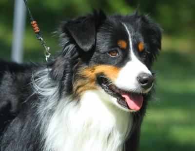 Max