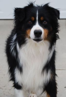 Max