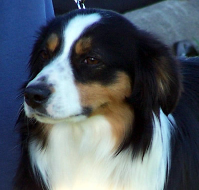 Mel