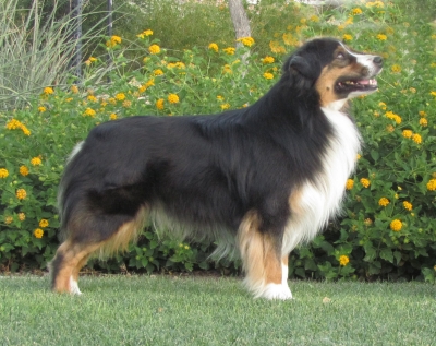 Parker