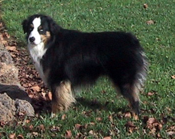 Prince