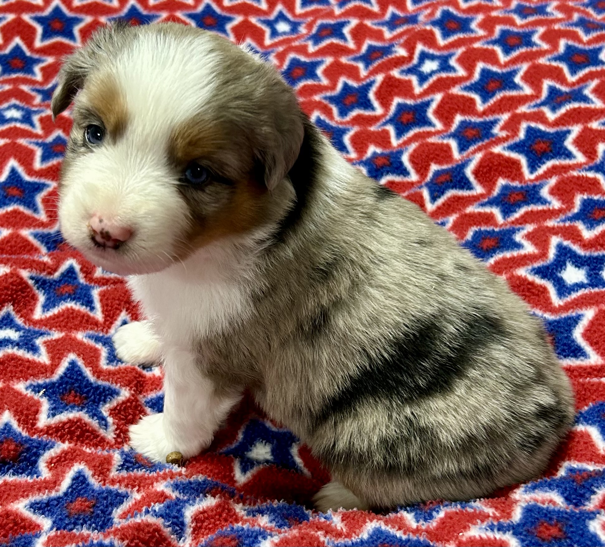 4 weeks old