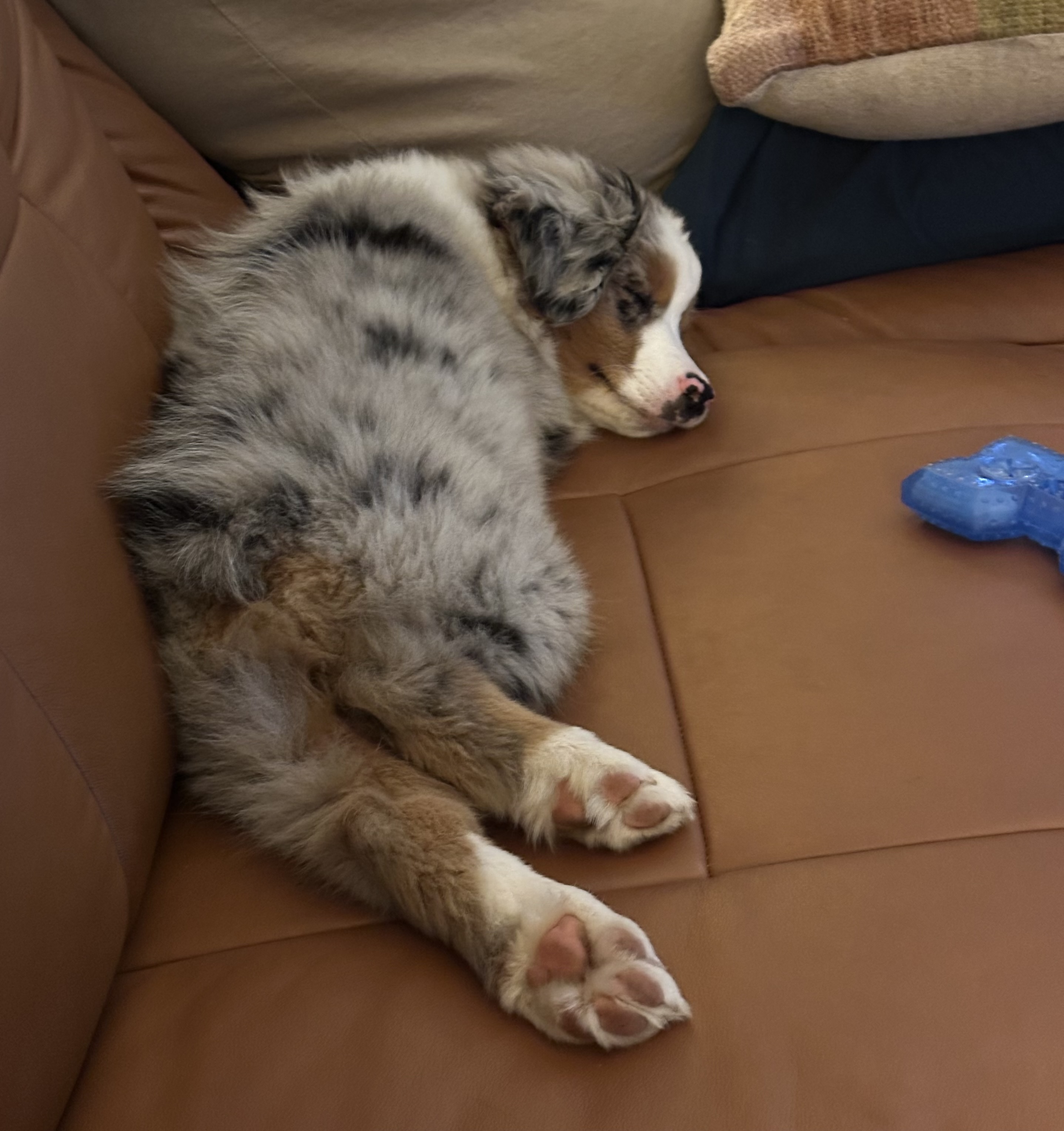 Getting comfy in my new home
