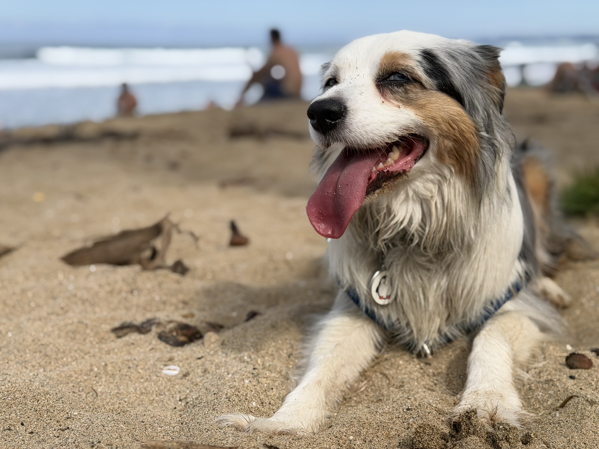 Babu goes on vacation!