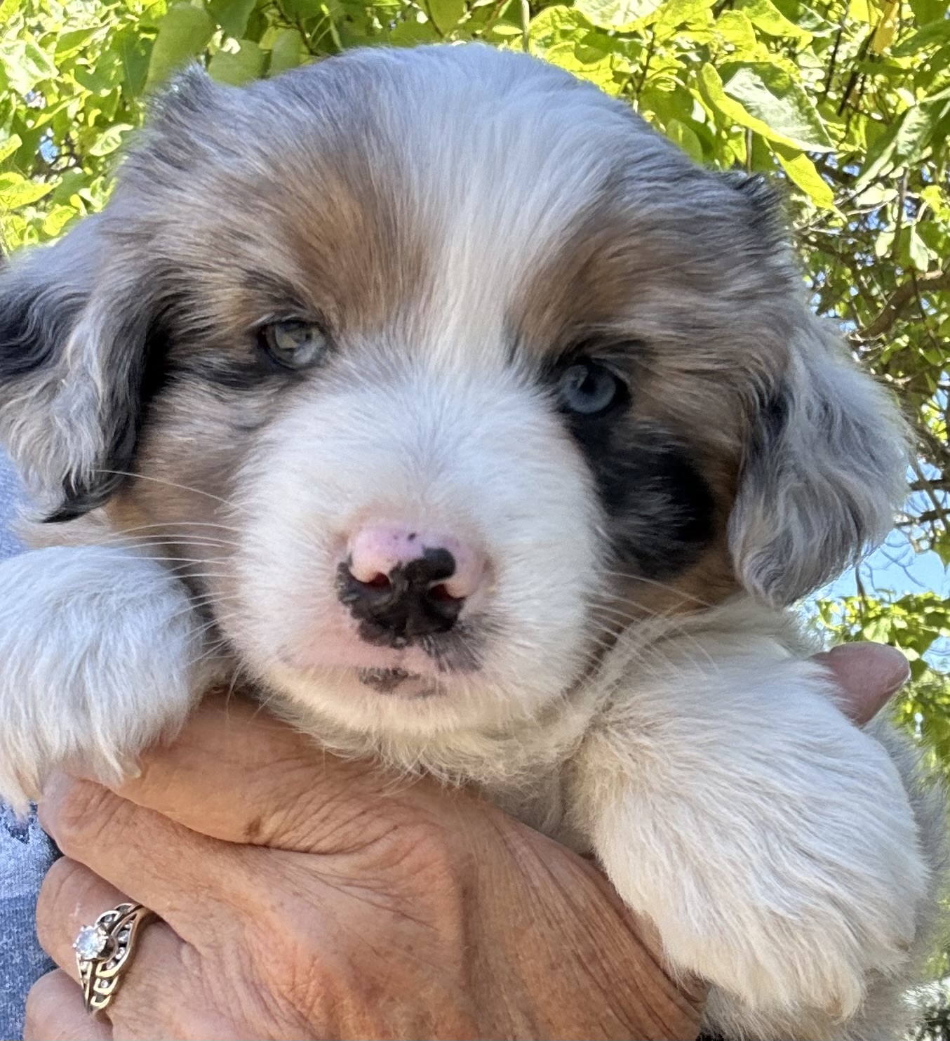 6+ Weeks