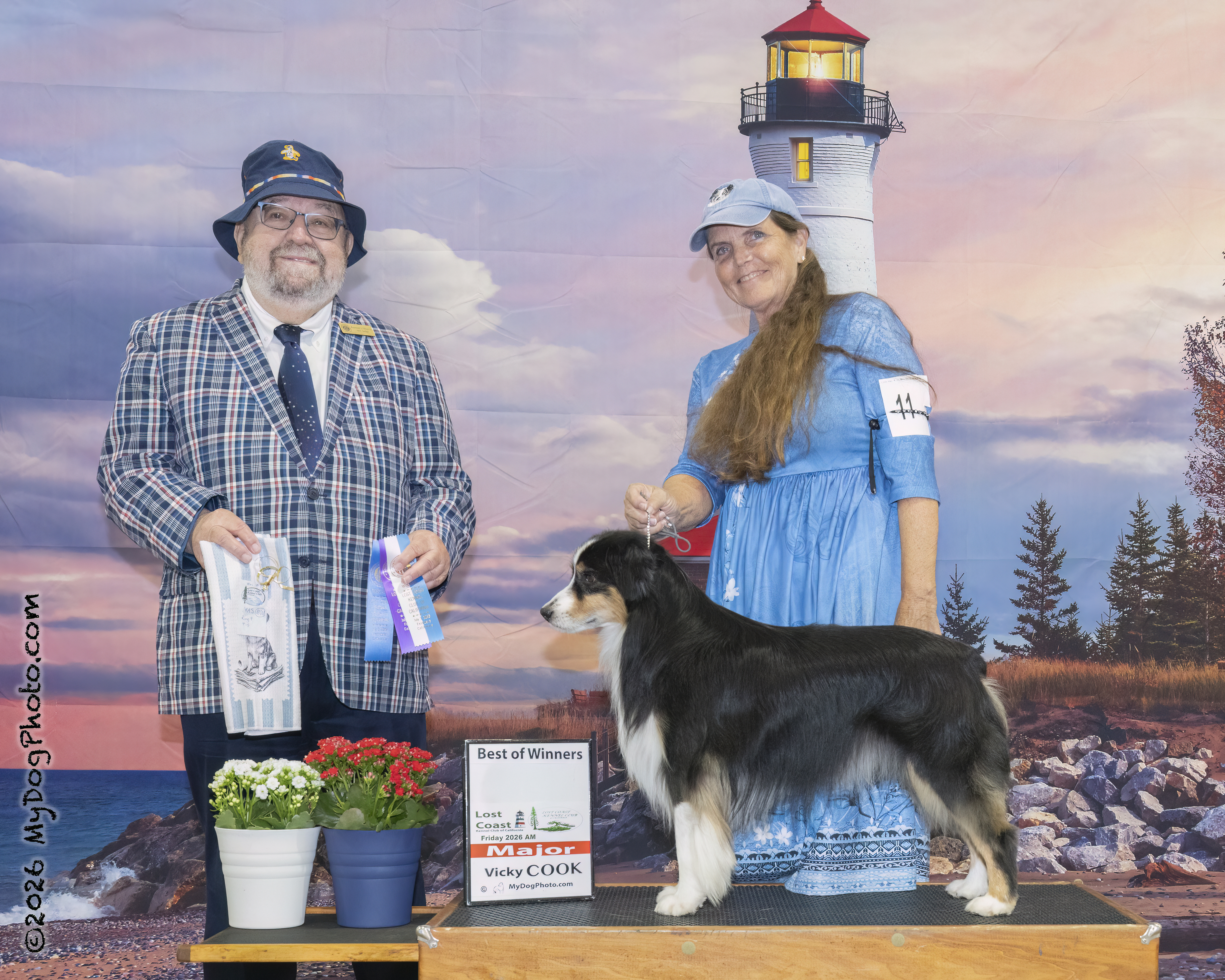 Becoming a Show Dog!