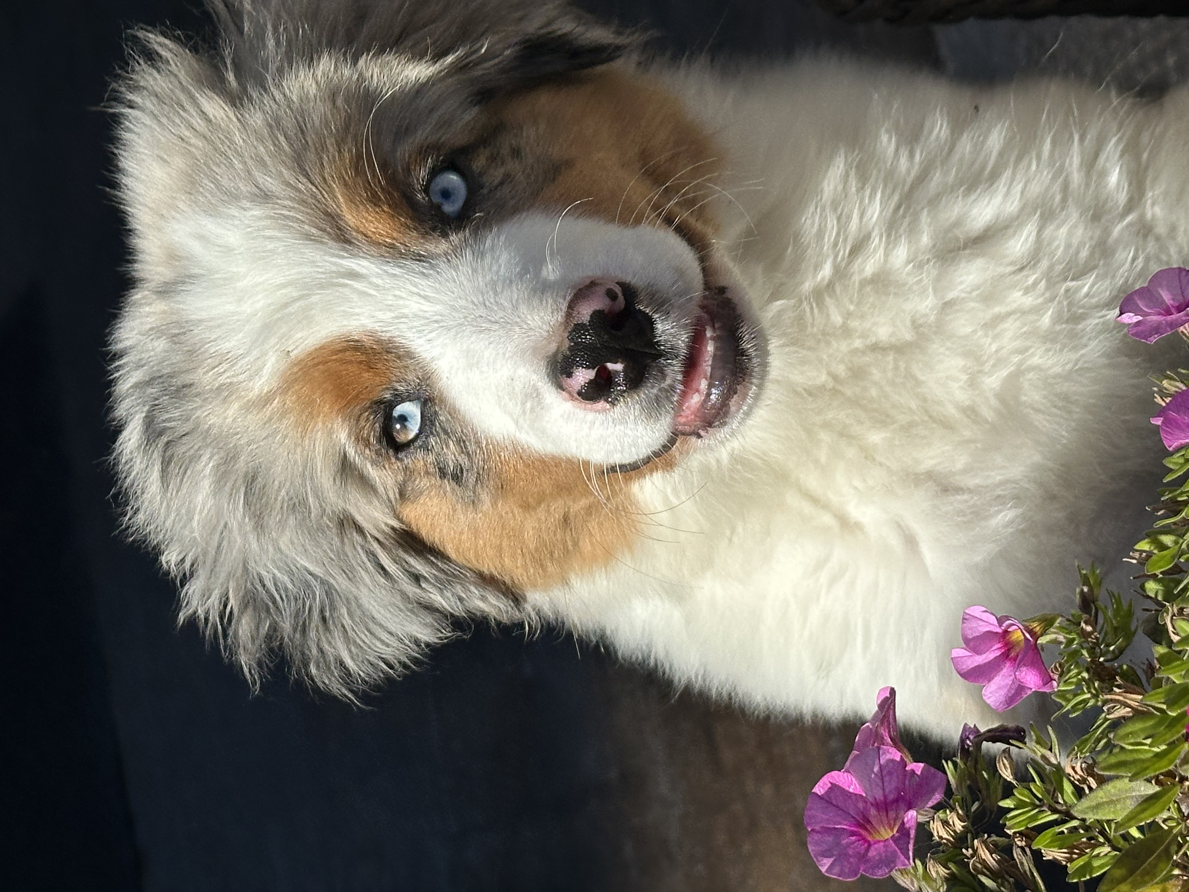 Such a cutie!