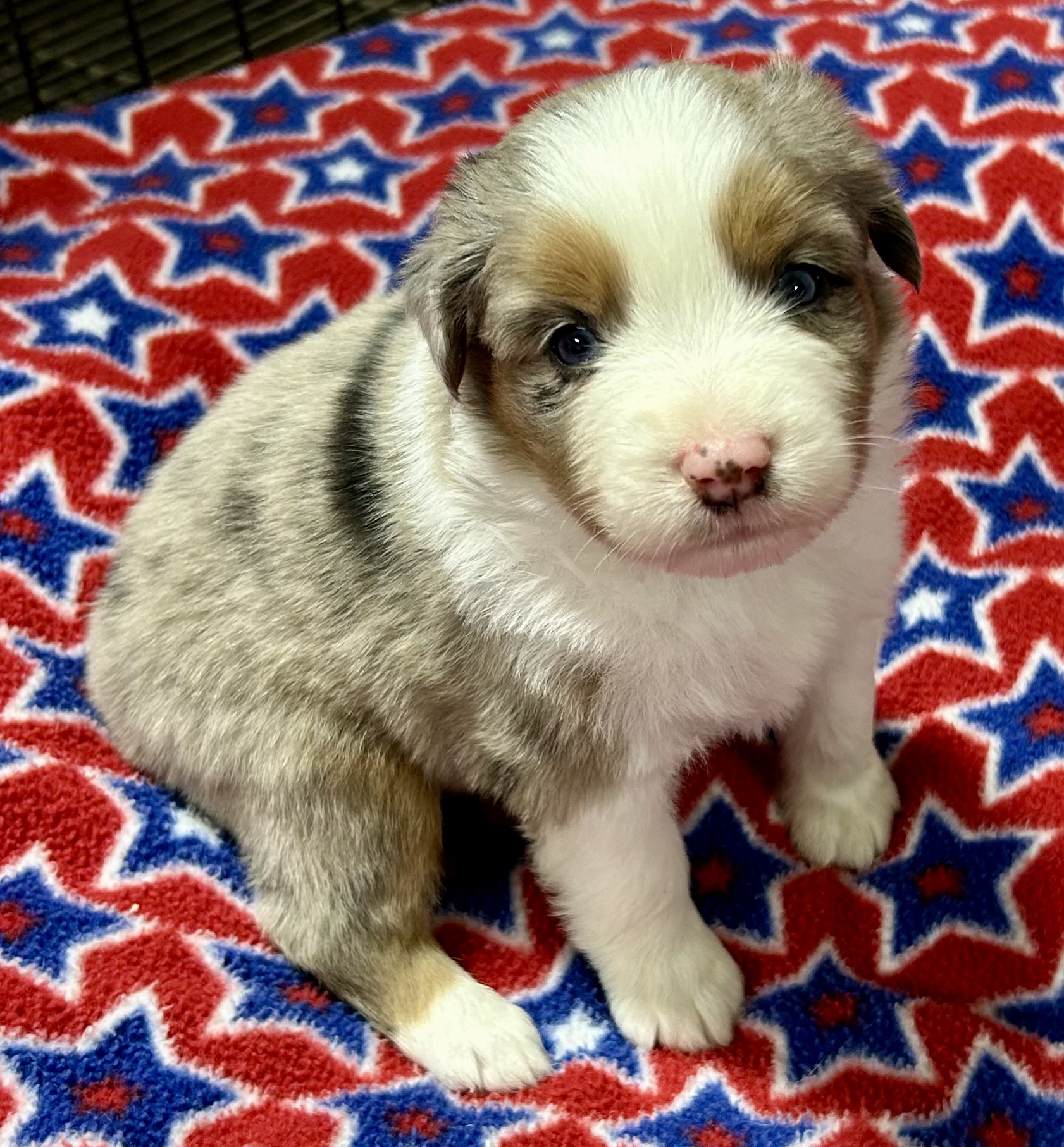 4 weeks old