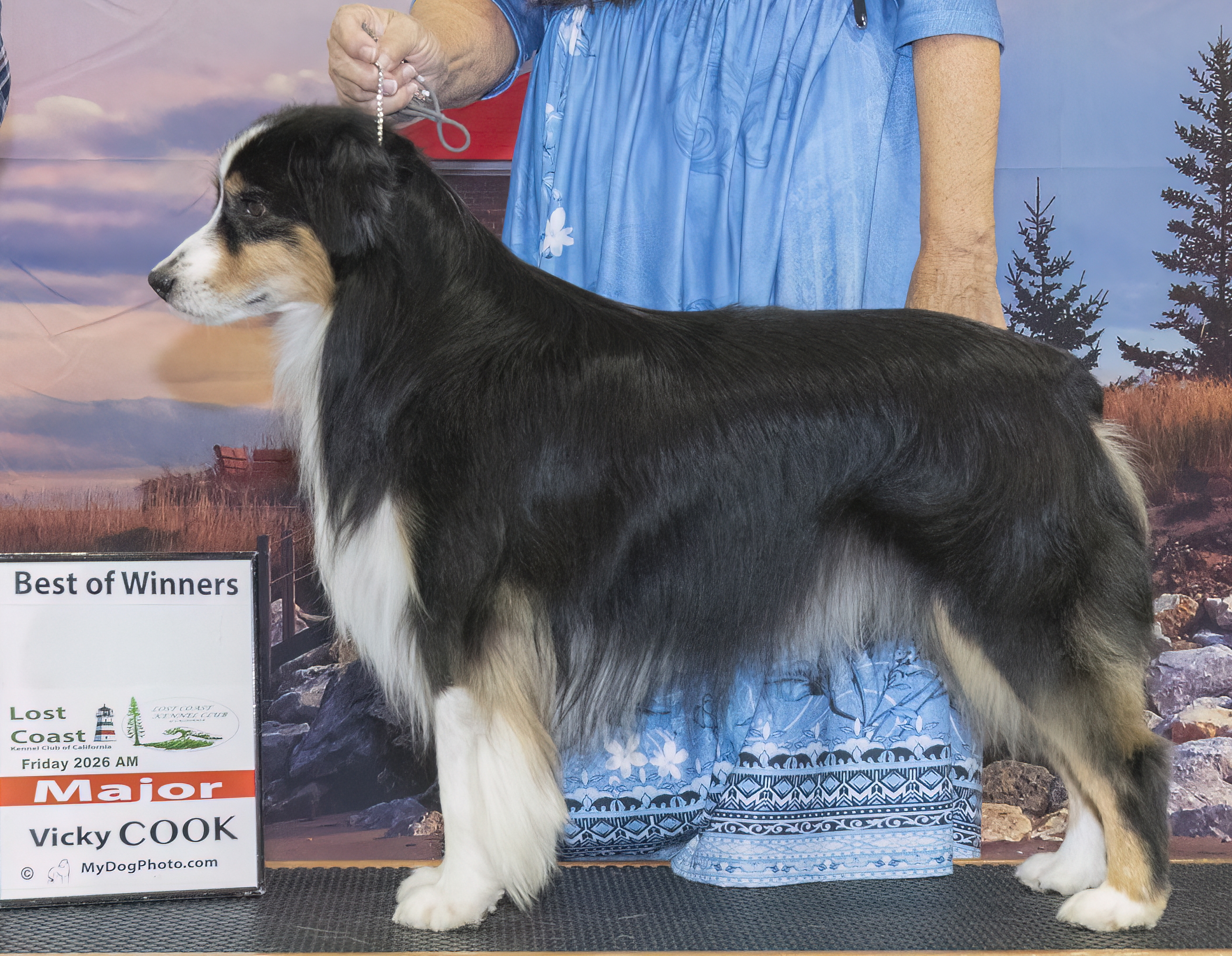 Becoming a Show Dog!