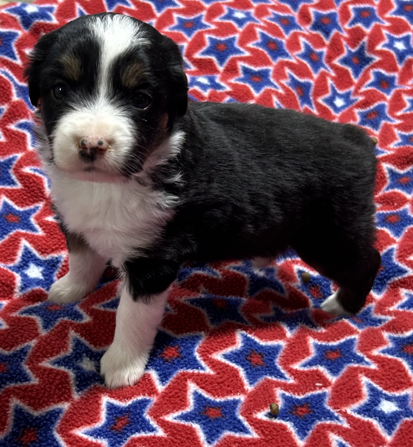 4 weeks old