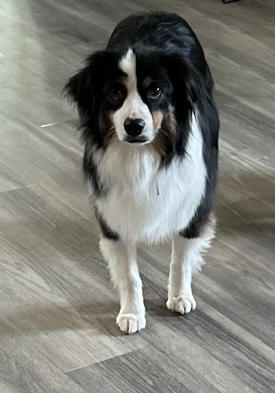 3 Years Old!