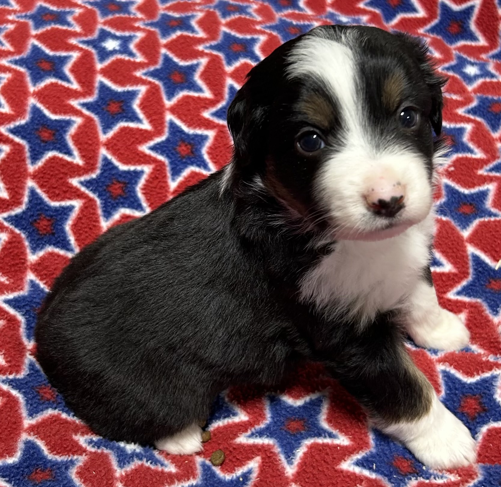 4 weeks old