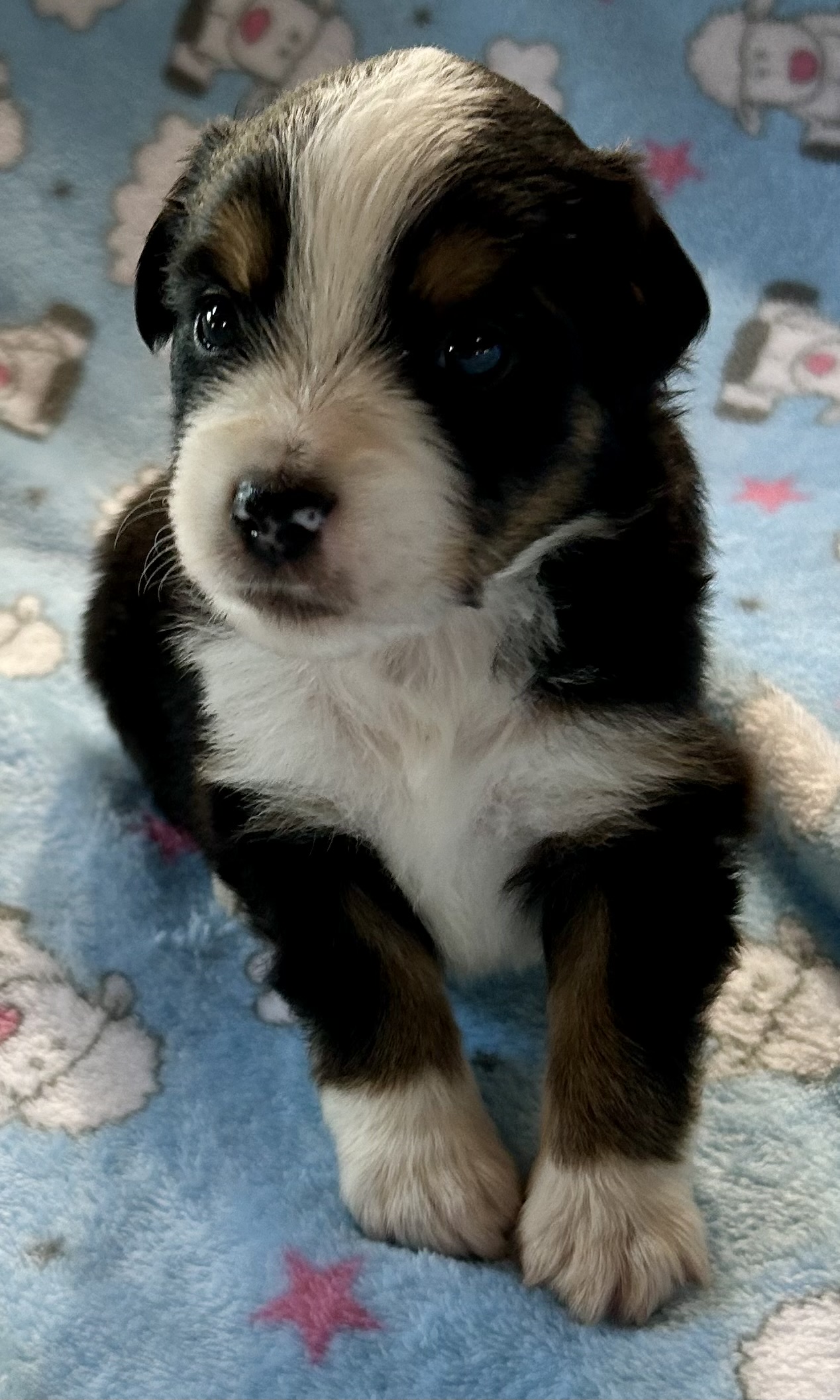3 weeks old