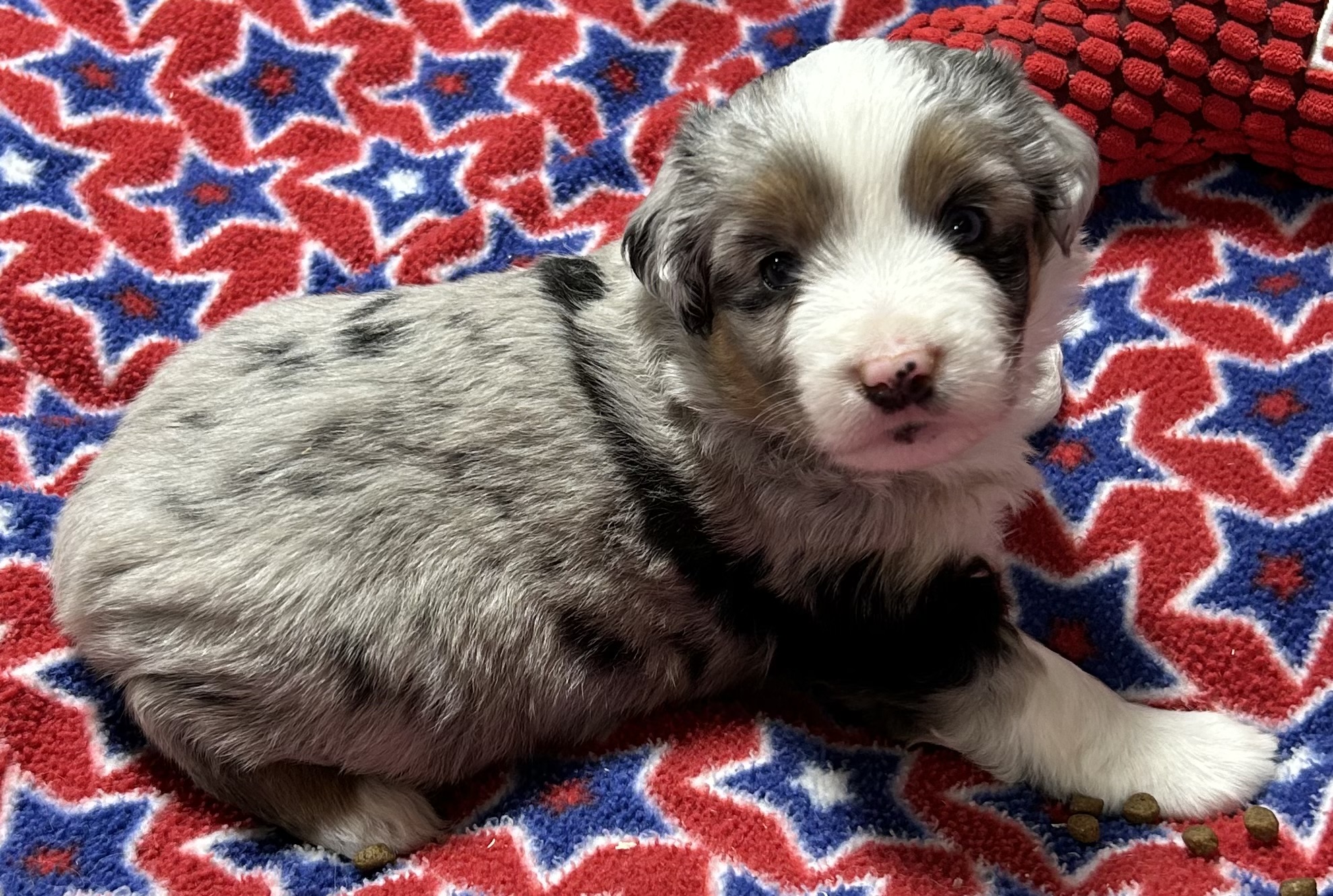 4 weeks old