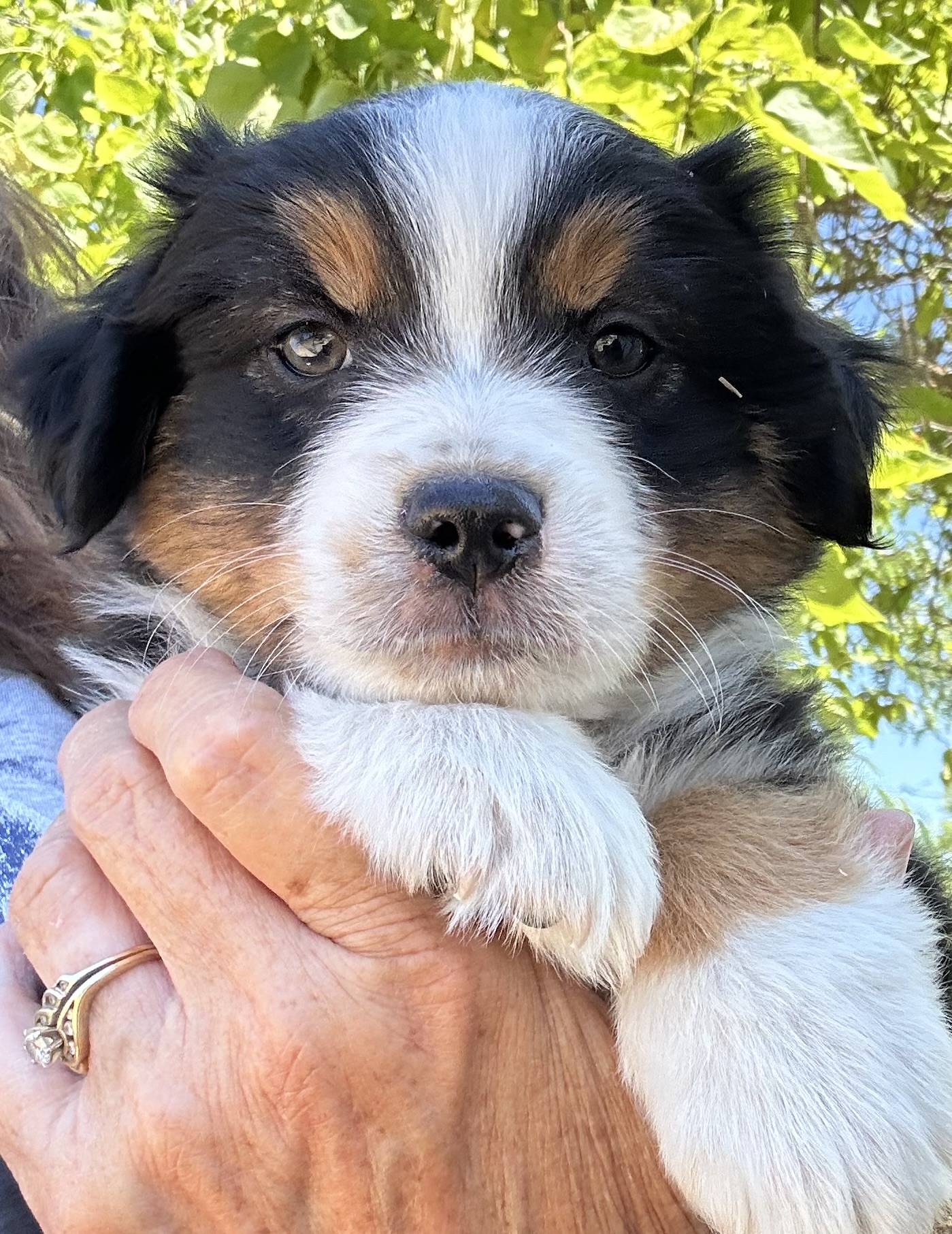 6+ Weeks