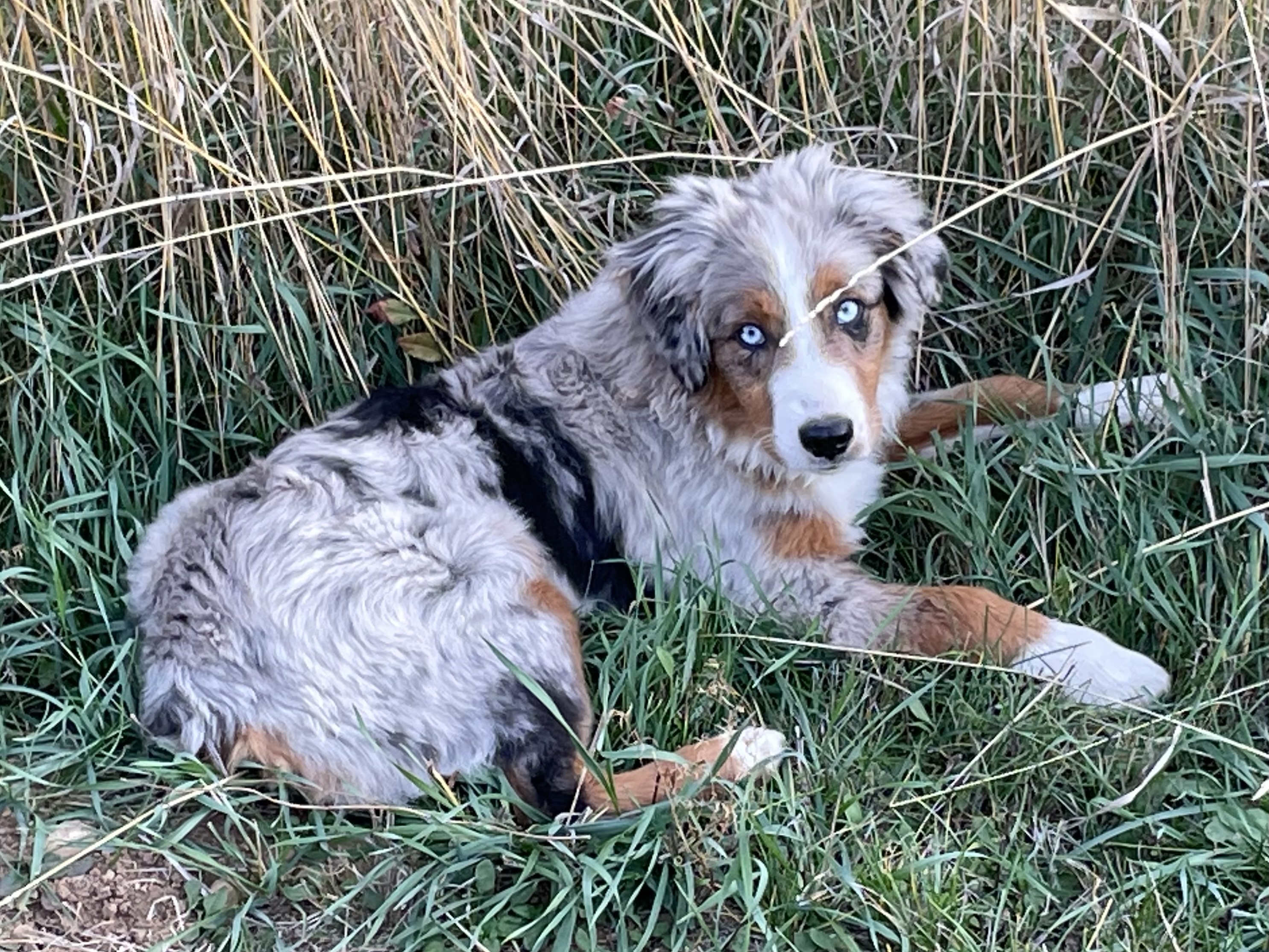 One handsome dude!