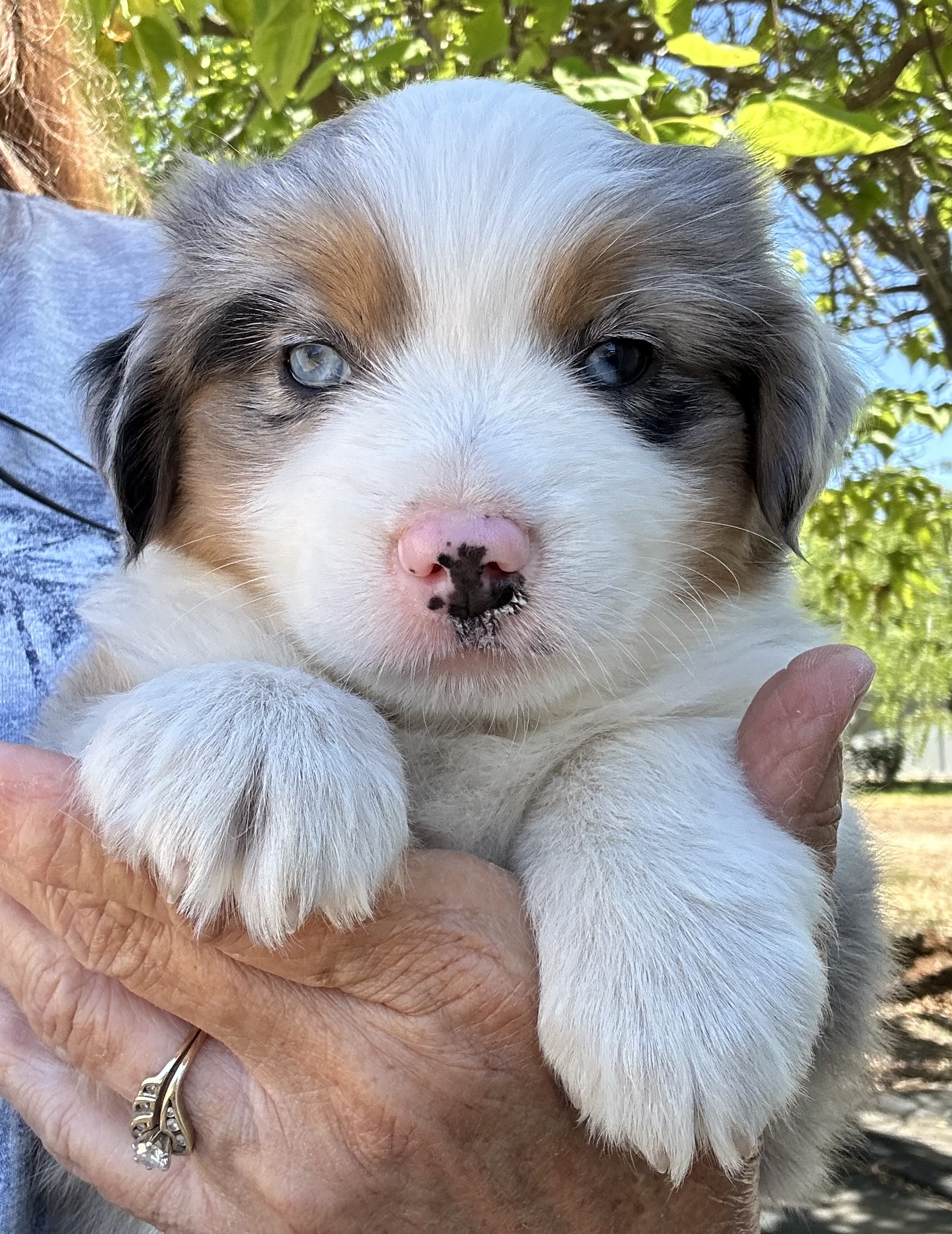 6+ Weeks