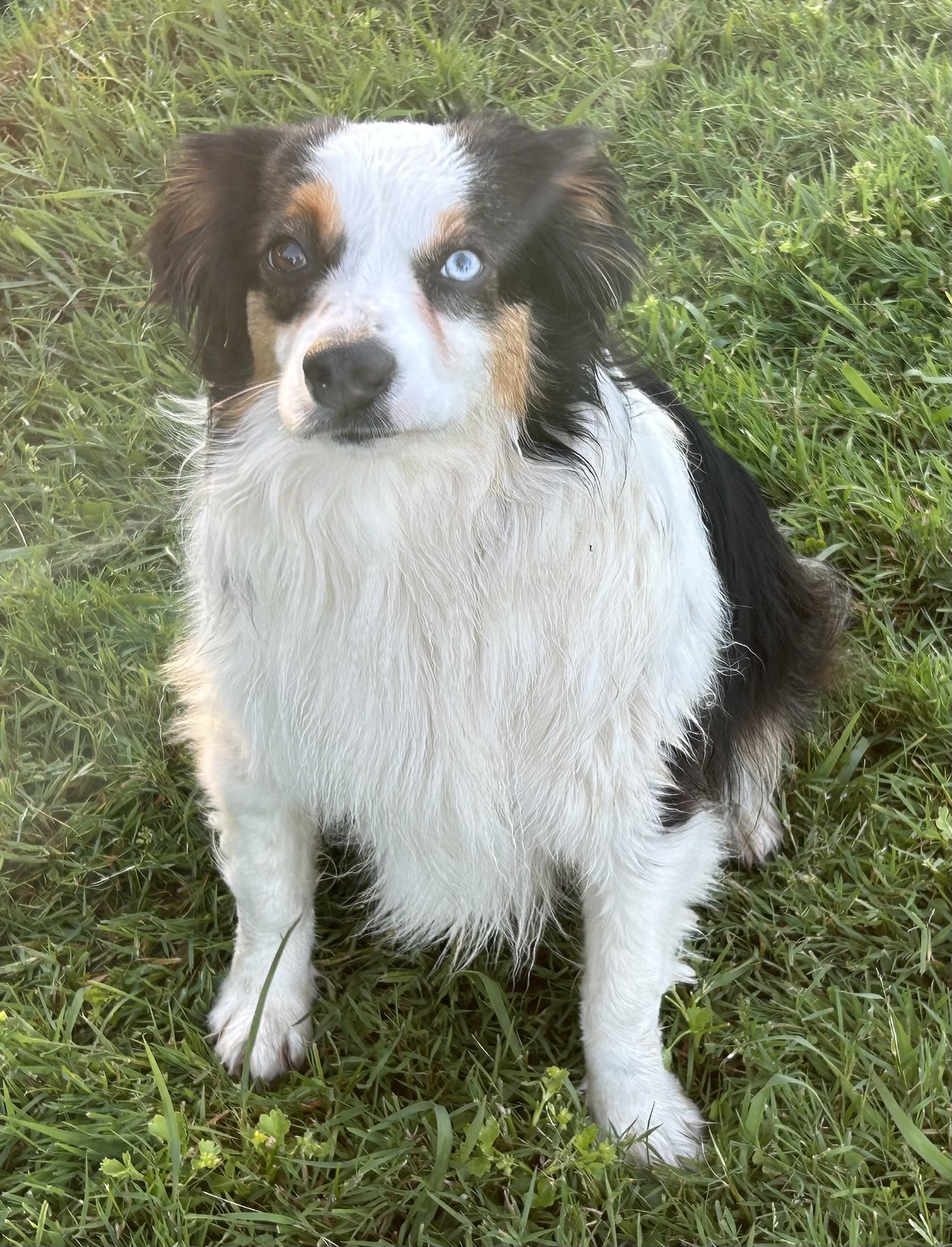 All grown up!
