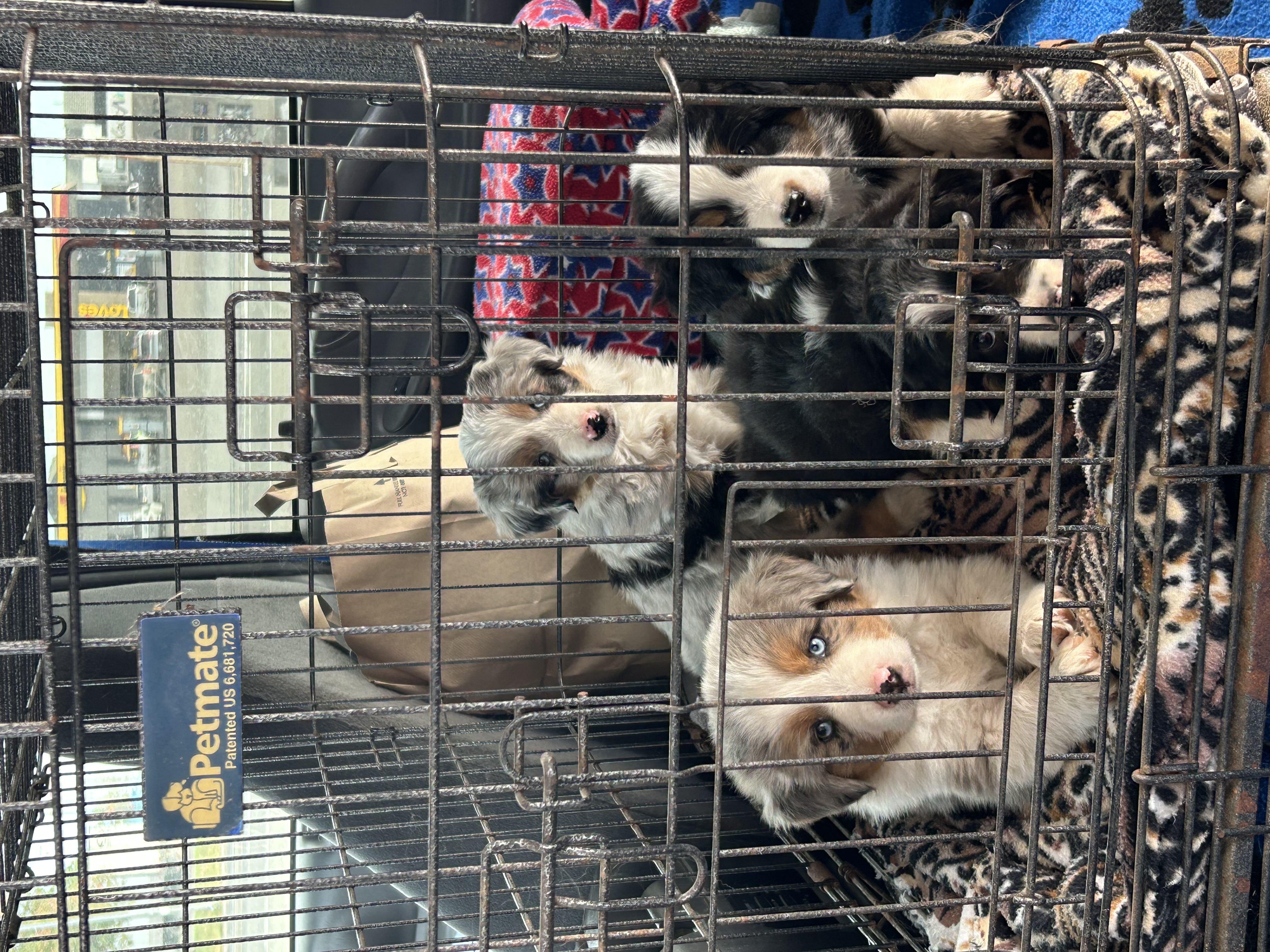 First road trip!