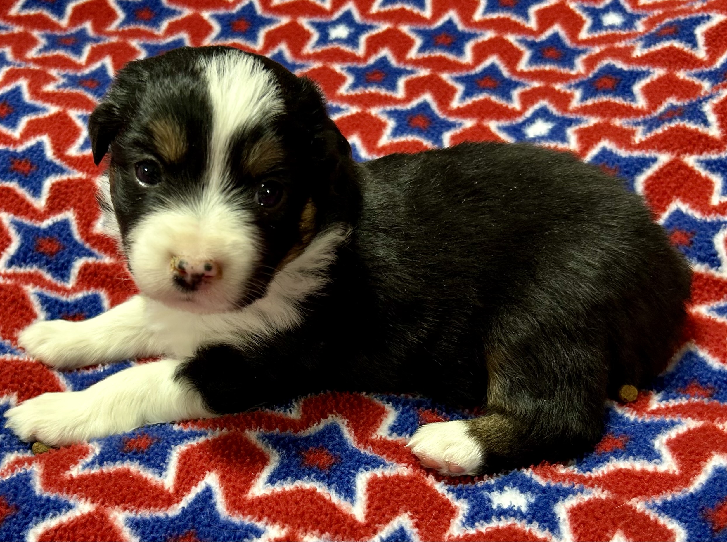 4 weeks old