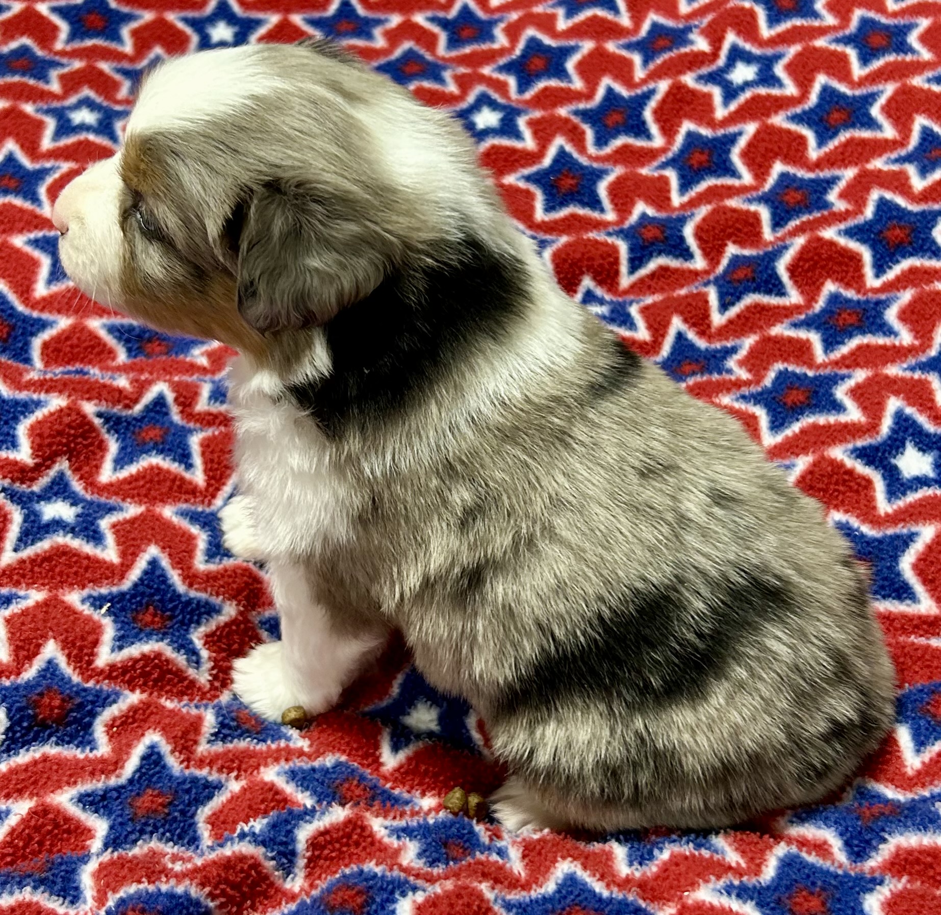 4 weeks old