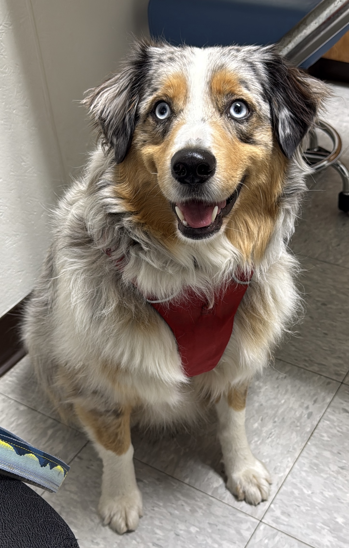 3 years old