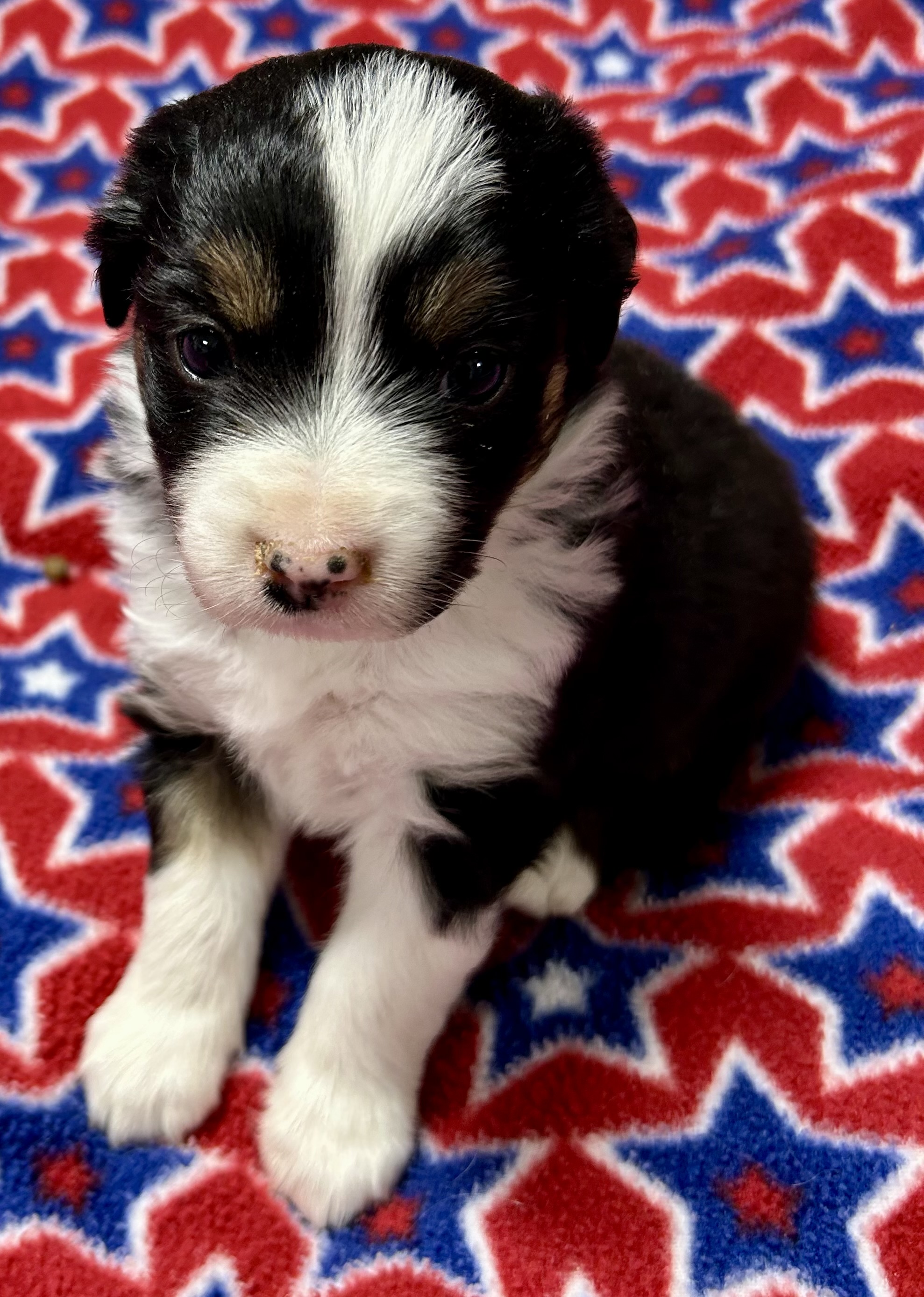 4 weeks old