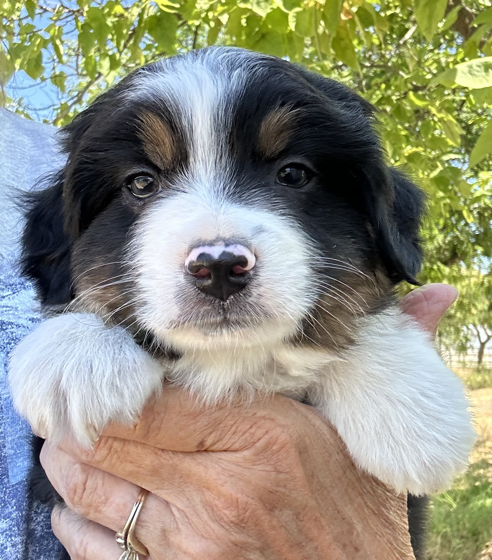 6+ Weeks