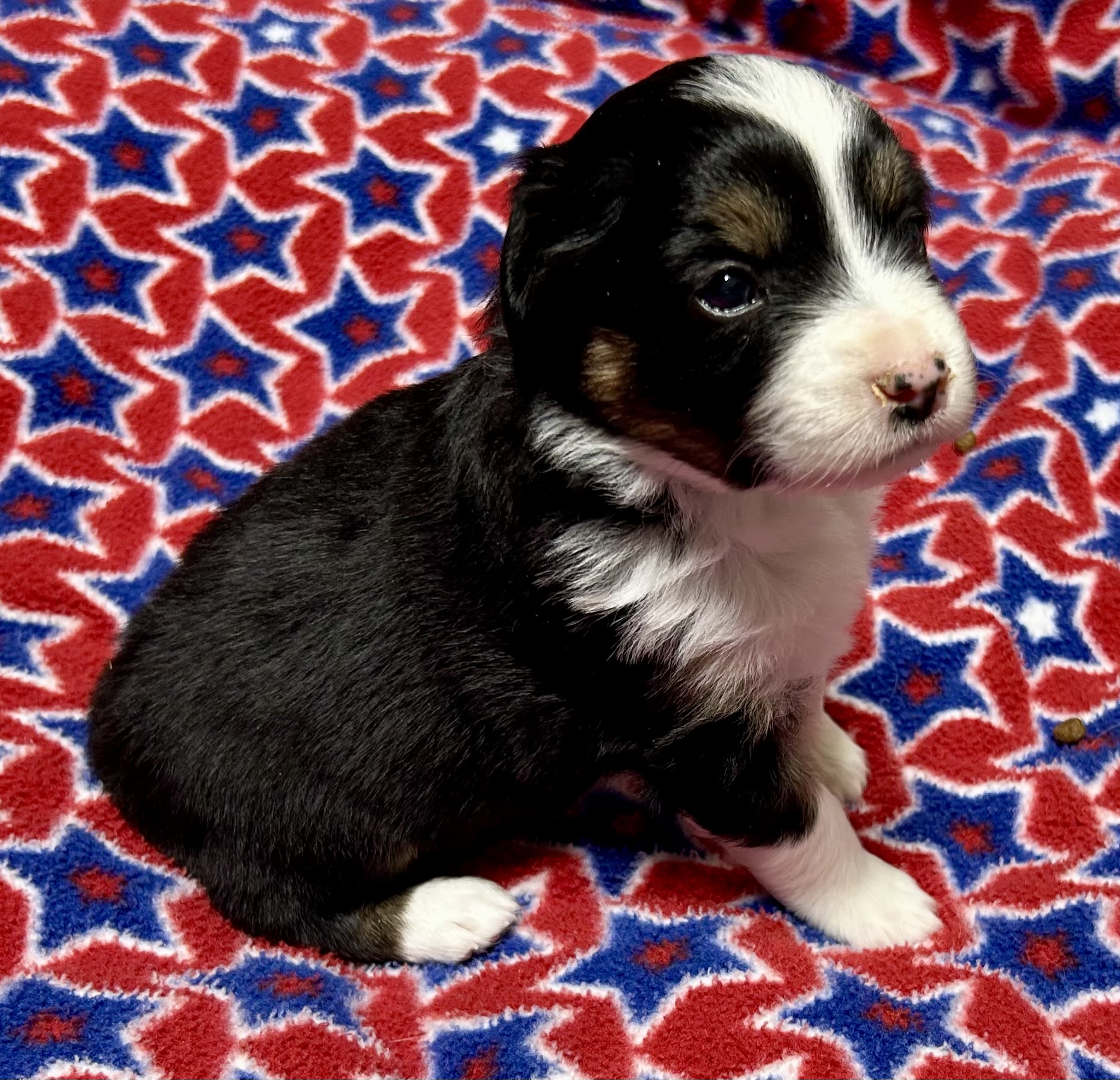 4 weeks old