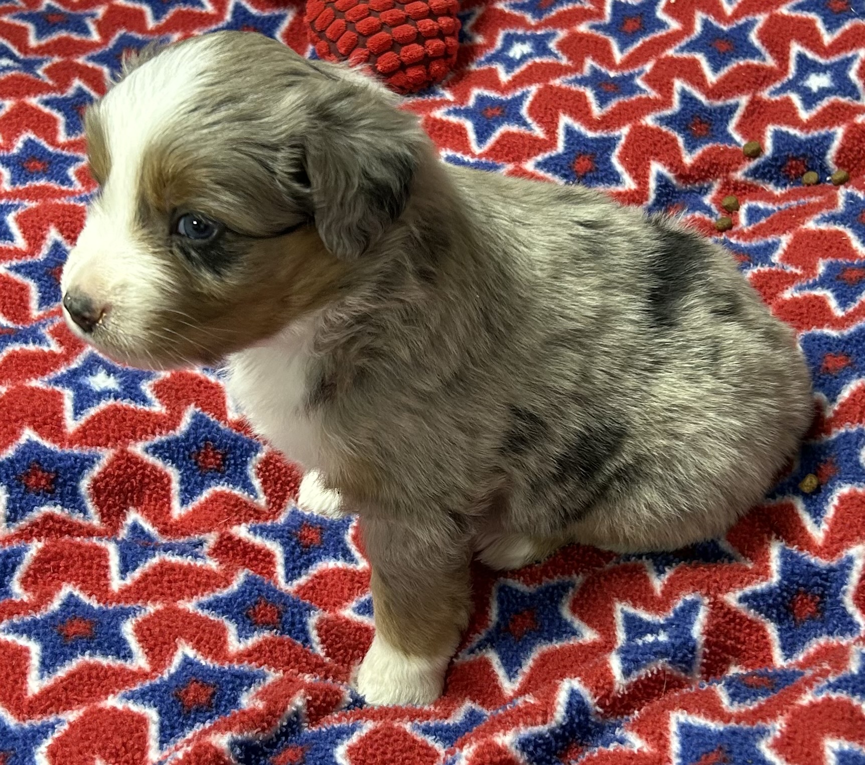 4 weeks old