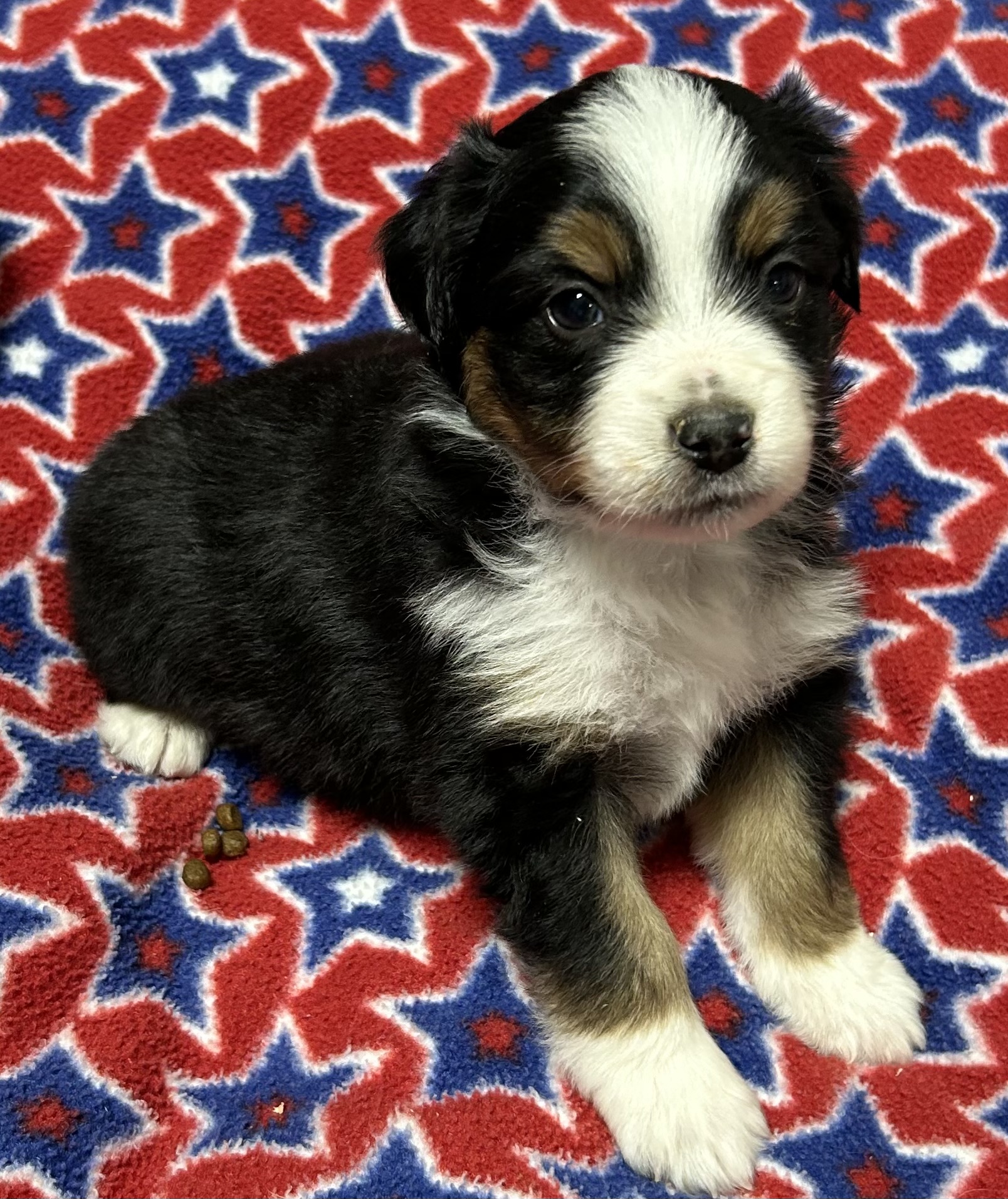 4 weeks old