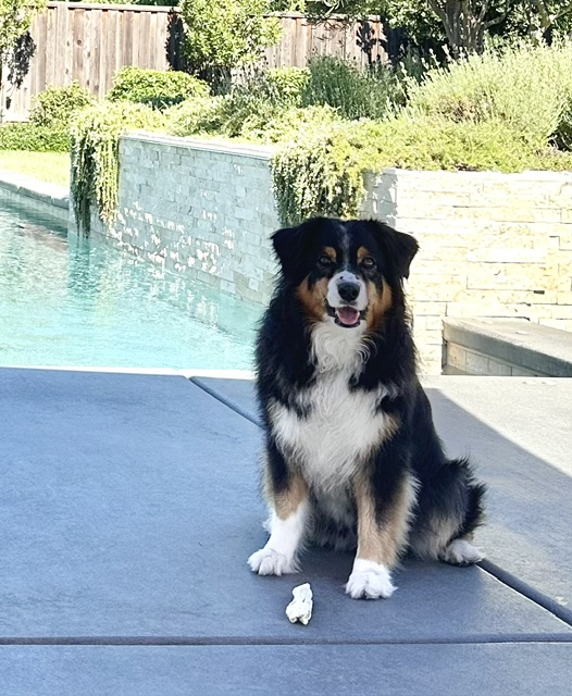 8 Years Old!