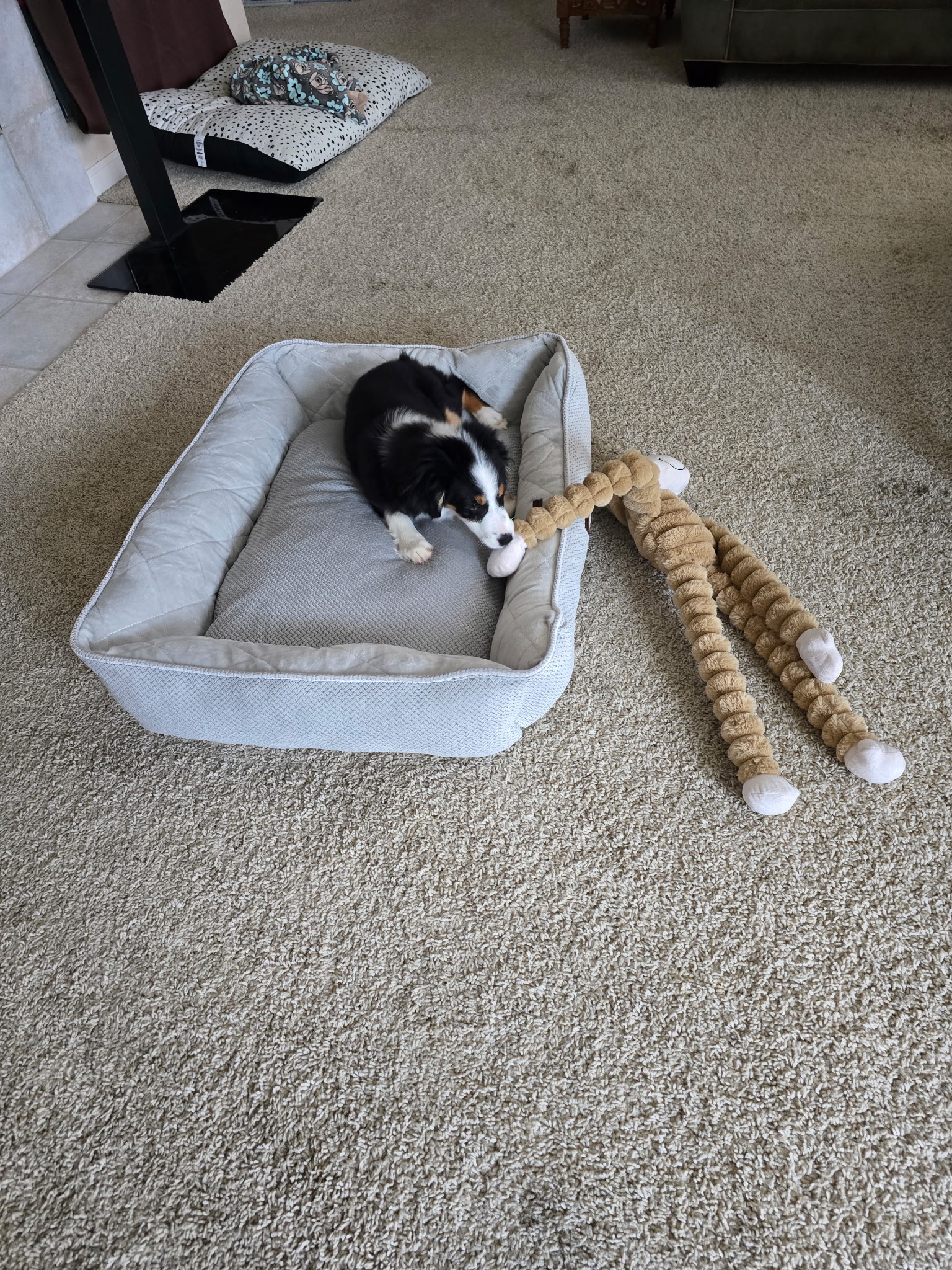 Settling In!