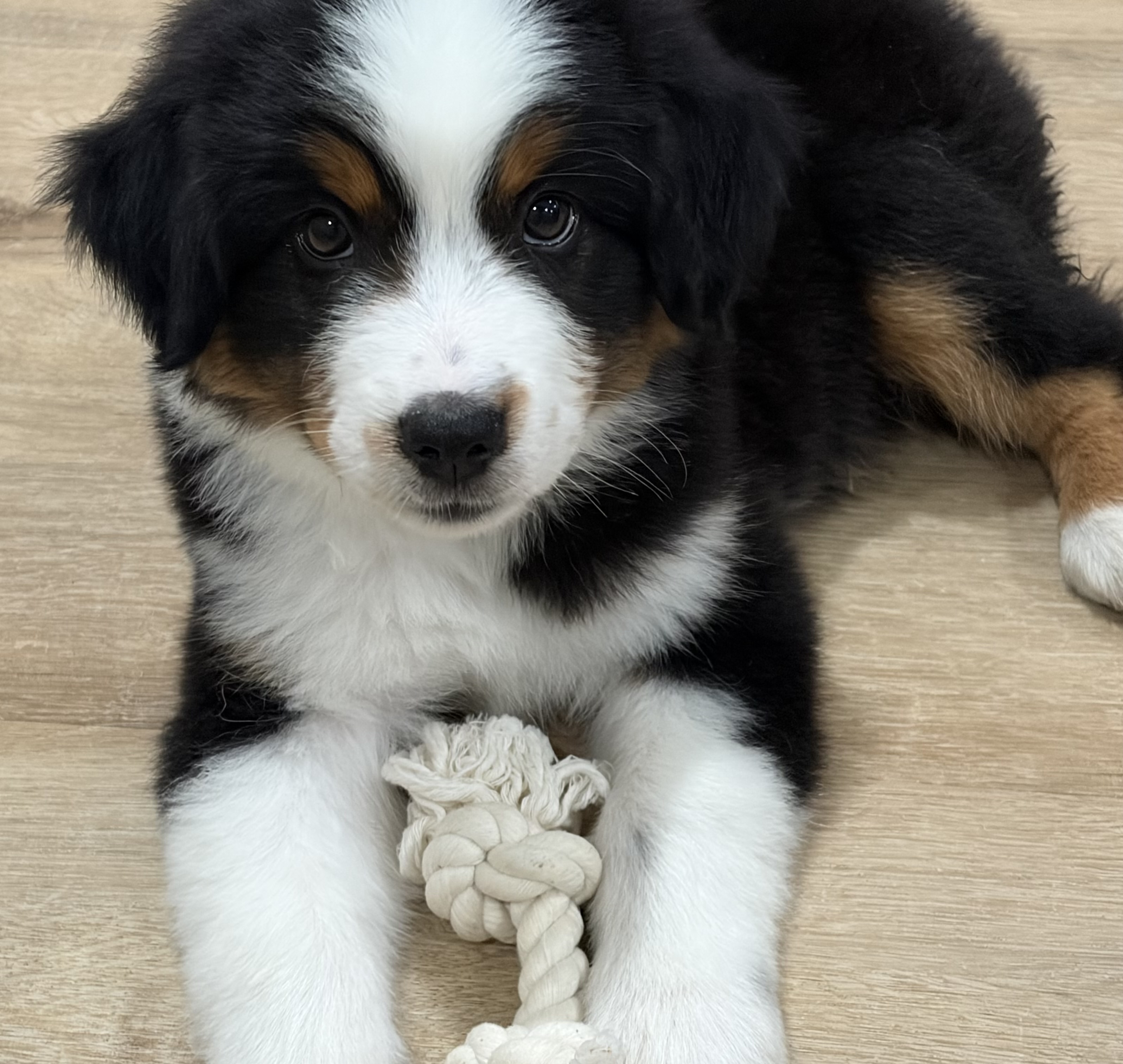 Playtime!