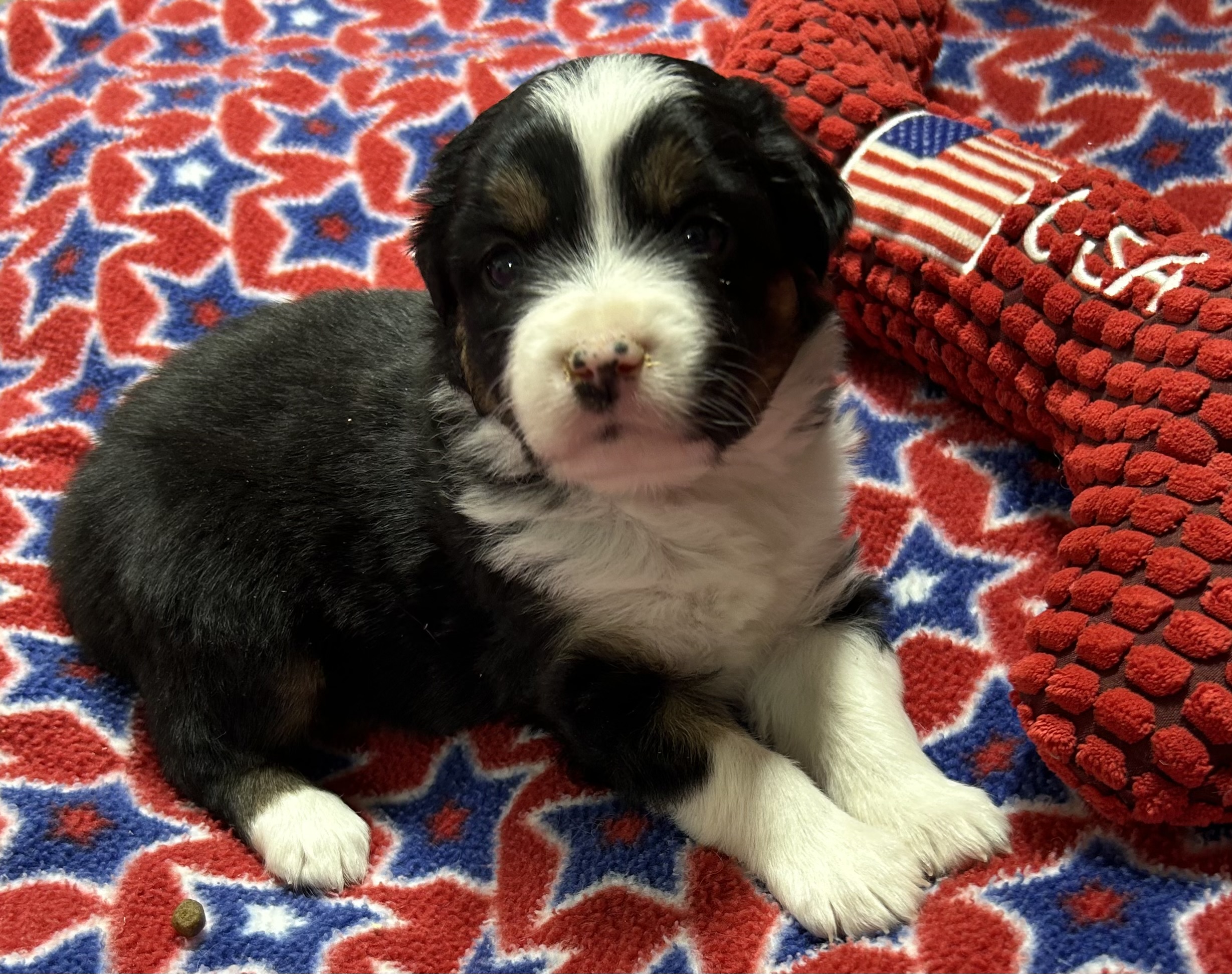 4 weeks old