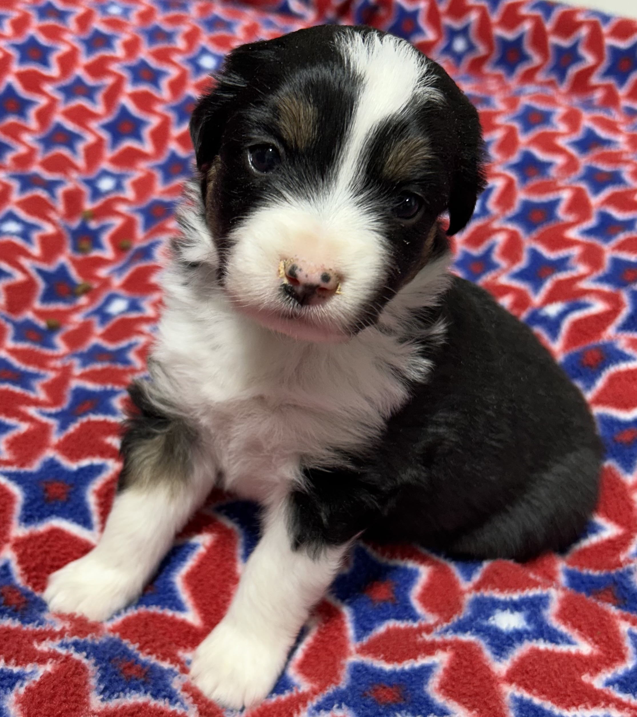 4 weeks old