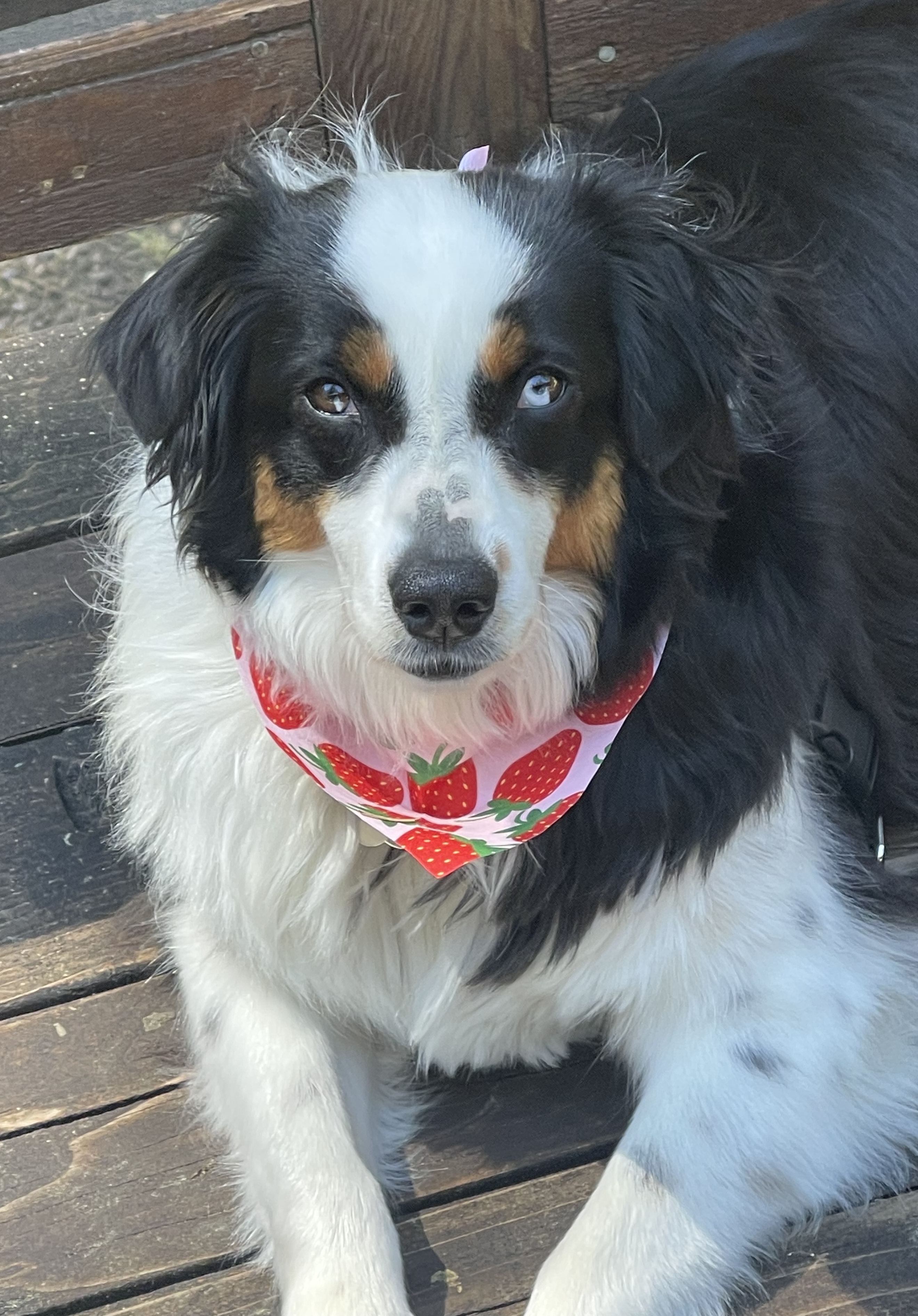Kona